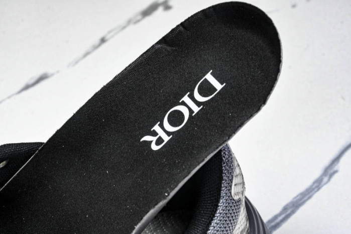 DIOR B30 SNEAKERS B30-000110