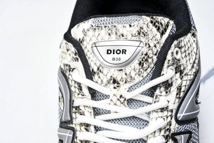 DIOR B30 SNEAKERS B30-000110