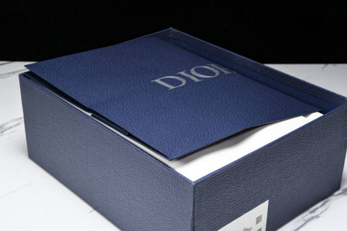 DIOR B30 SNEAKERS B30-000113