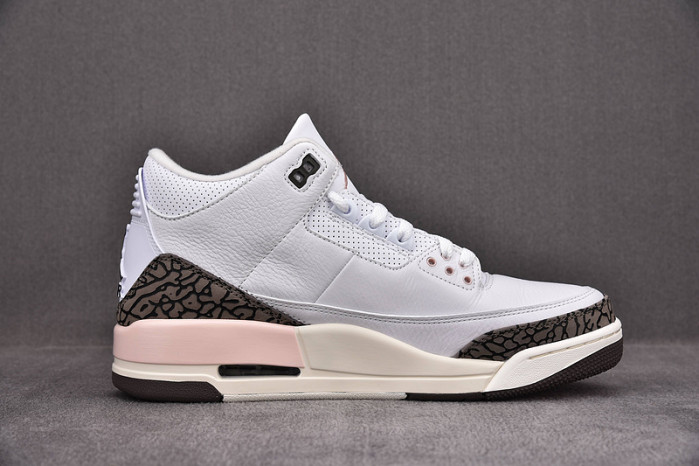 Jordan 3 Retro Neapolitan Dark Mocha (W) CK9246-102