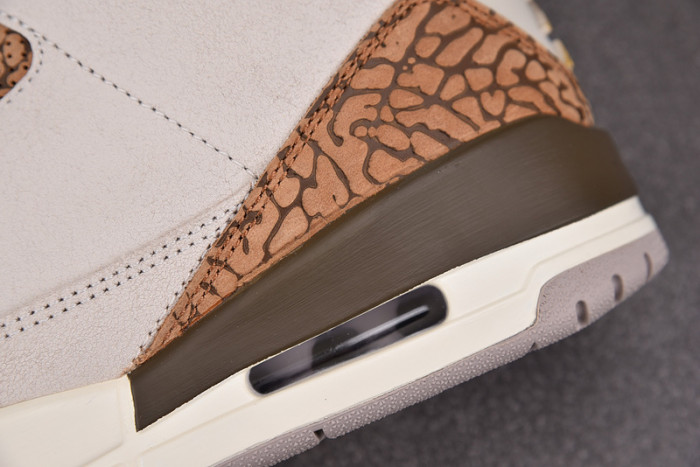 Air Jordan 3 "Palomino" CT8532-102