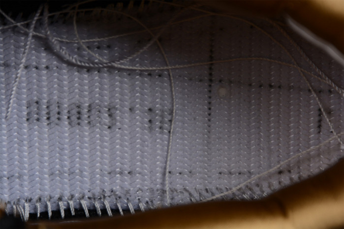 Nike Dunk High Retro PRM Year of the Tiger DQ5351-001