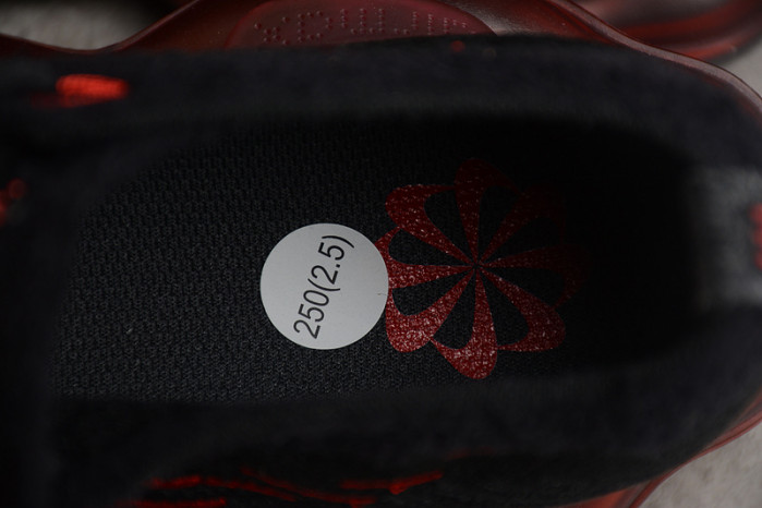 Nike Air Max Scorpion DJ4701-004