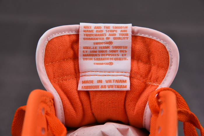 Nike dunk low sb syracuse CU1726-101