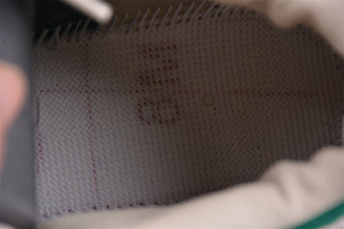 nina Ch*el abney x air jordan 3 