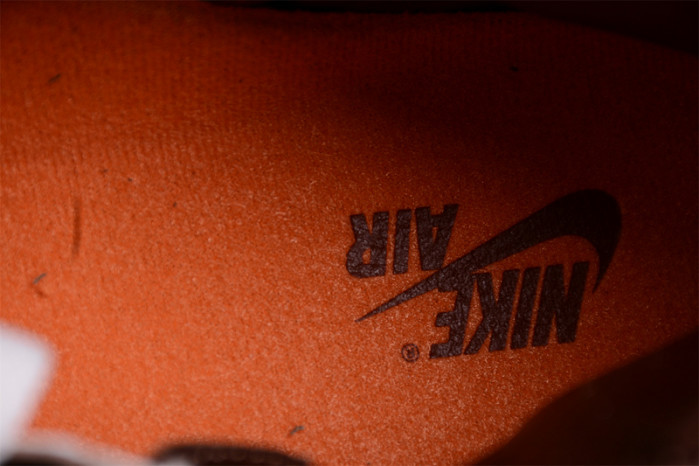 Jordan 1 Retro High OG SP Dusted Clay (Women