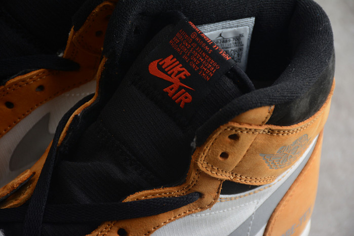 Jordan 1 High Element Gore-Tex Light Curry DB2889-700