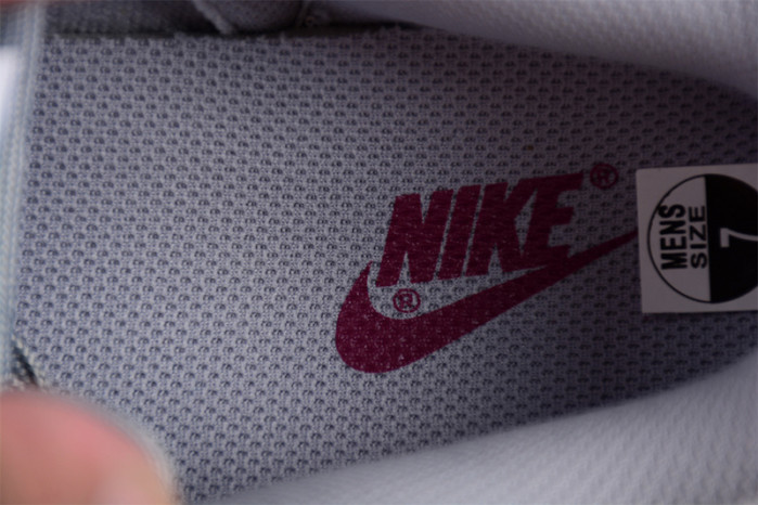 NIKE DUNK LOW PALE IVORY REDWOOD DD1503-122