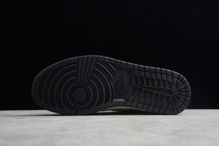 Air Jordan 1 Rookie of the Year 555088-700