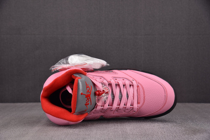 Awake NY x Air Jordan 5 Retro 