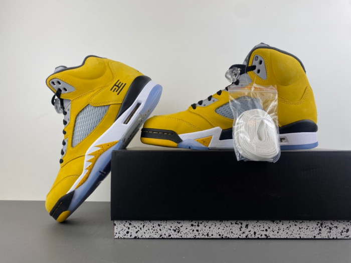 Air Jordan 5 Retro T23 