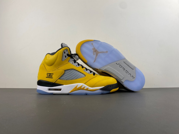 Air Jordan 5 Retro T23 
