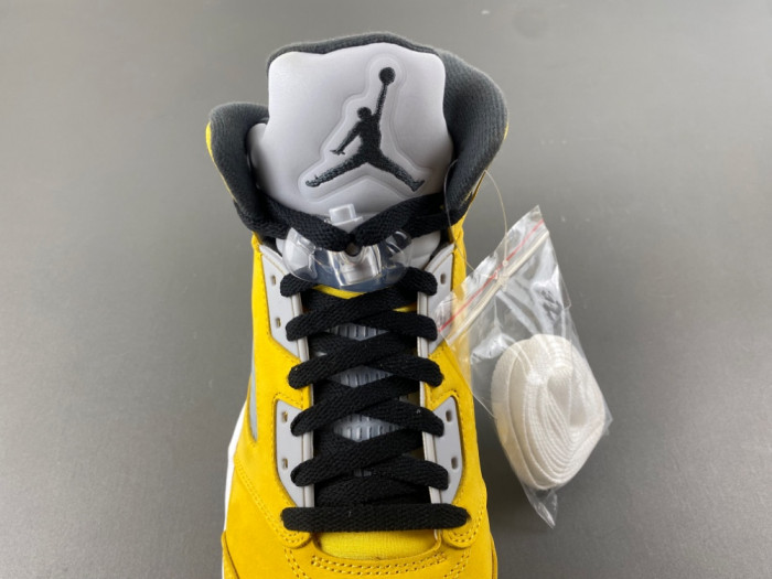 Air Jordan 5 Retro T23 