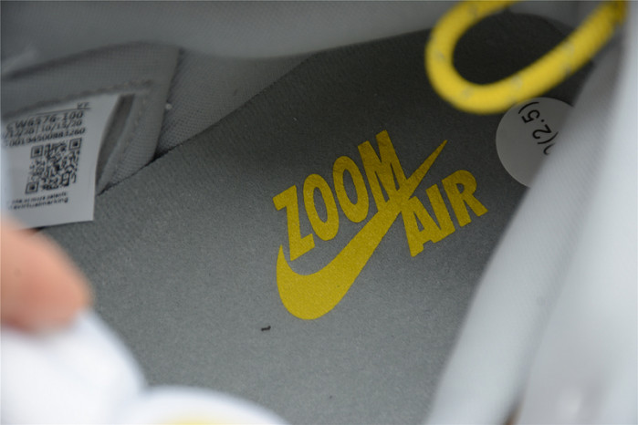 Air Jordan 1 High Switch CW6576 -100